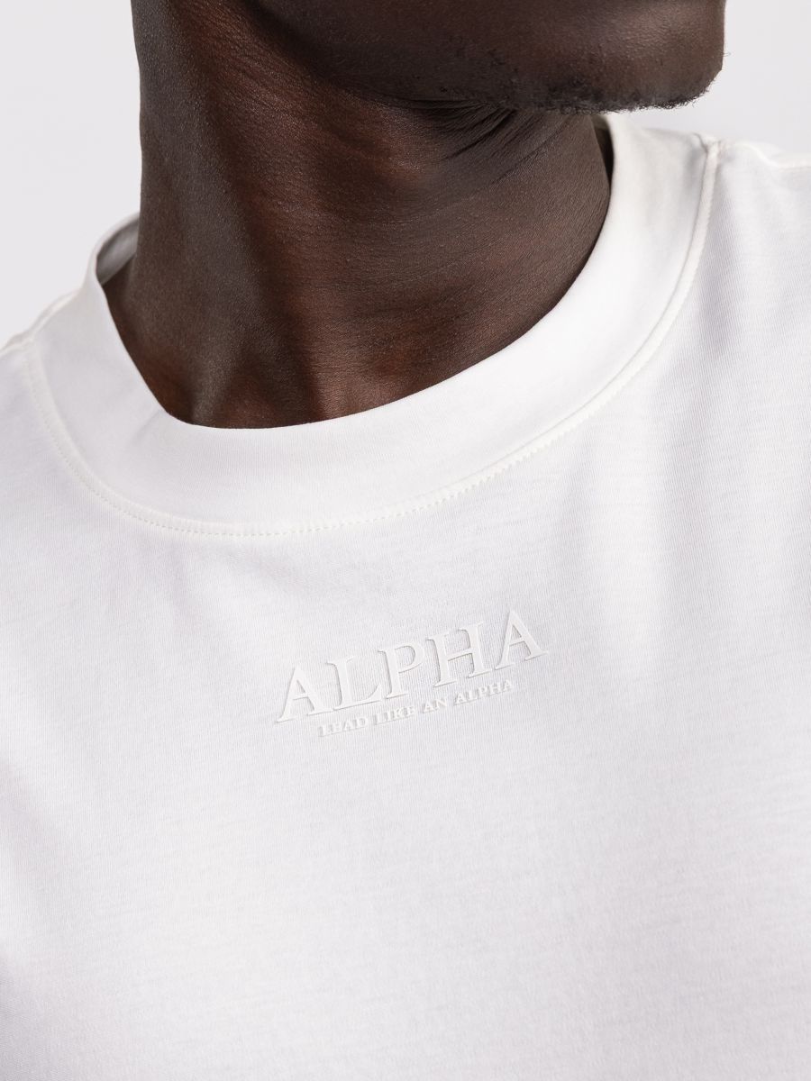 חולצת טי שירט לגבר ALPHA