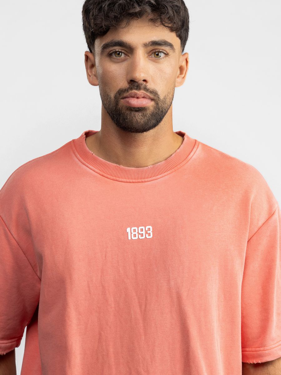 טי שירט לגבר 1893