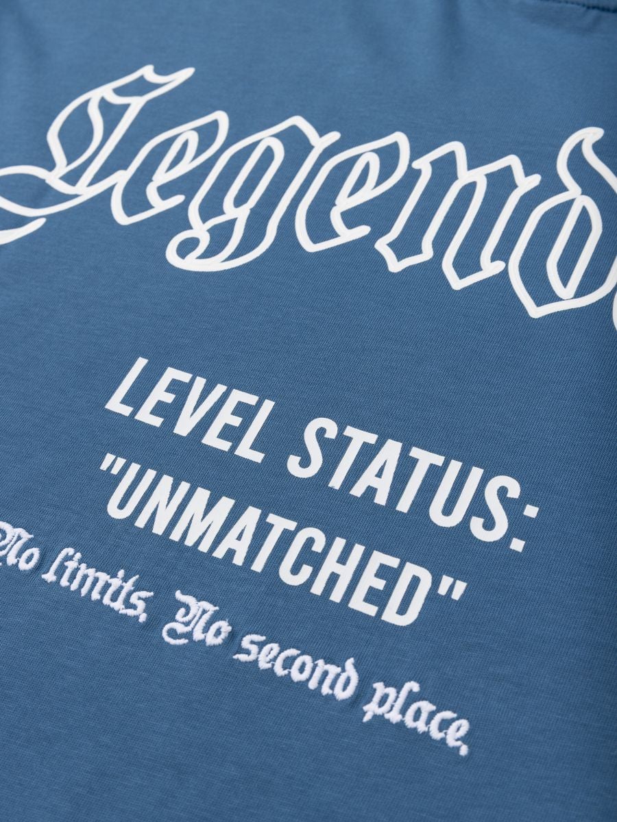 טישרט אובר סייז level status